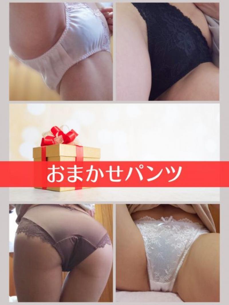 出品者名-写真